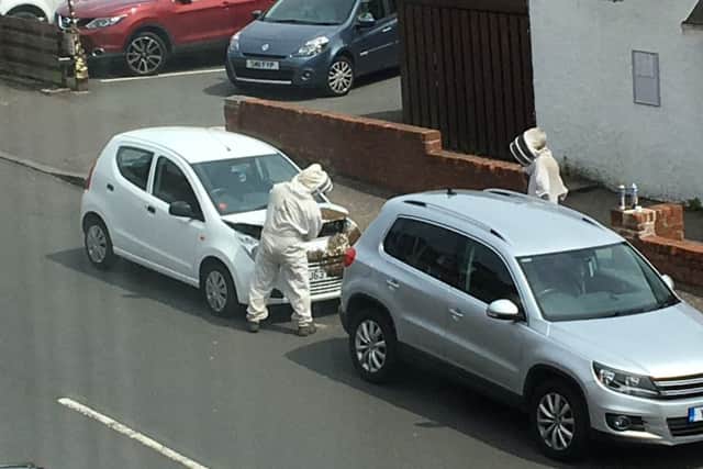 Beekeepers were called to help remove the bees from the car. Picture: SWNS