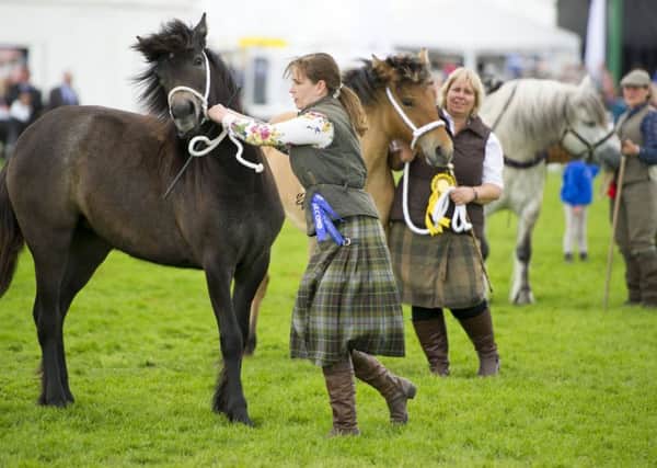 A competitor struggles to control her horse during the Grand Parade at the Royal Highland Show. Photograph: Ian Rutherford
