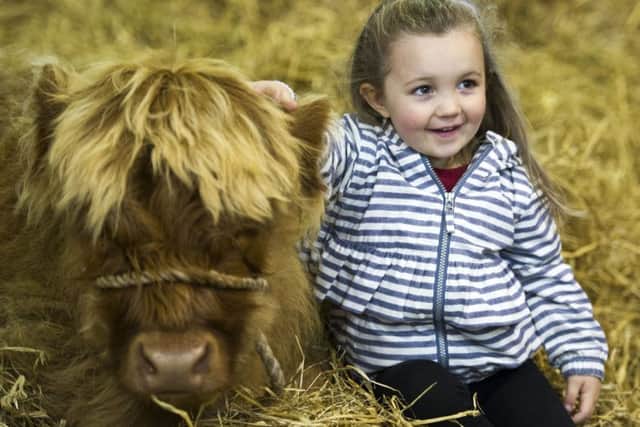 Three-year-old Sophia Jamieson from Edinburgh pats a calf at the Royal Highland Show. Picture: Ian Rutherford