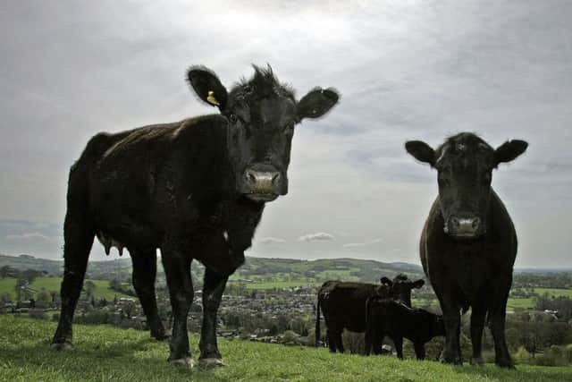 'We need a science-based approach to delivering quality,' said Steve McLean of Marks and Spencer. Picture: Christopher Furlong/Getty Images