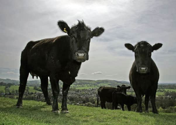 'We need a science-based approach to delivering quality,' said Steve McLean of Marks and Spencer. Picture: Christopher Furlong/Getty Images