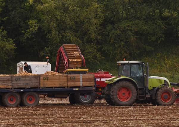 AHDB warned that securing the future of vital exports such as seed potatoes would be complex. Picture: Stuart Cobley