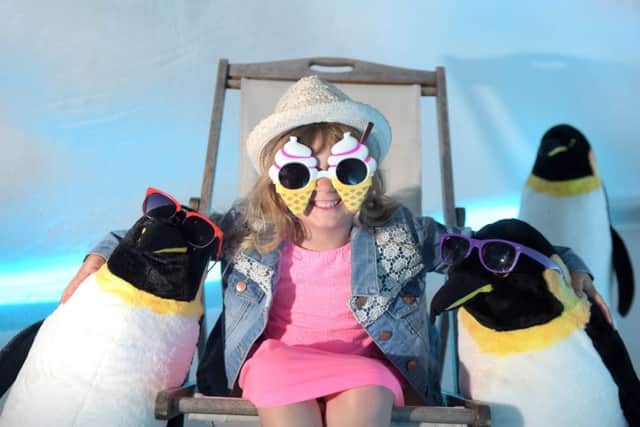 Ava Wright, 4, from Edinburgh, hanging out with penguines in front of a real iceberg at Dynamic Earth. Picture: Lesley Martin/Contributed