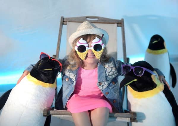 Ava Wright, 4, from Edinburgh, hanging out with penguines in front of a real iceberg at Dynamic Earth. Picture: Lesley Martin/Contributed