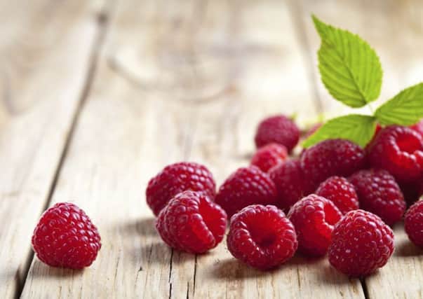 The quality of raspberries and strawberries grown in Scotland adds to the strength of our food and drink industry.