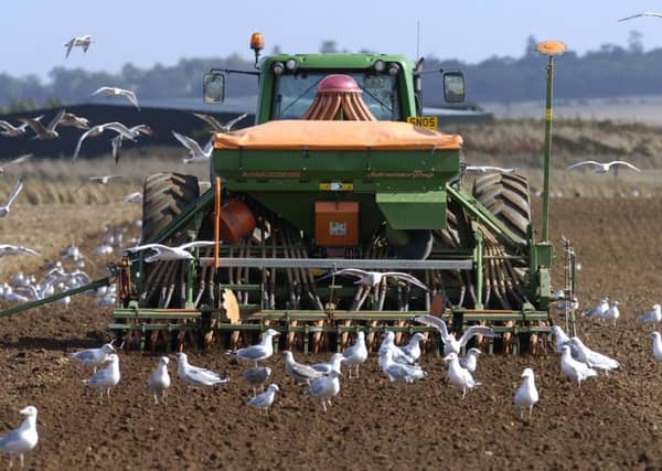 Only 40 per cent of Britain's contribution to the CAP is returned to our farmers. Picture: Neil Hanna
