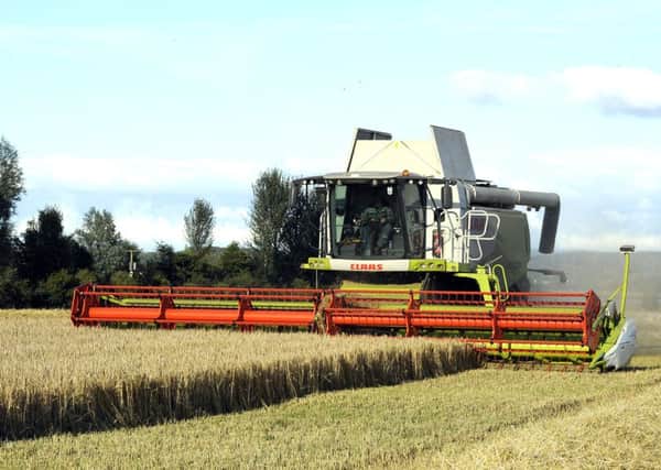 The SRUC says many crop diseases are becoming increasingly difficult to control. Picture: Michael Gillen