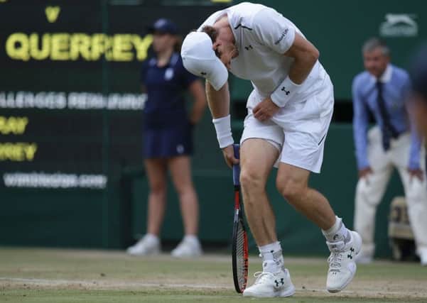 Andy Murray crumples in pain during his defeat by Sam Querrey. Picture: Daniel Leal-Olivas/AFP/Getty Images