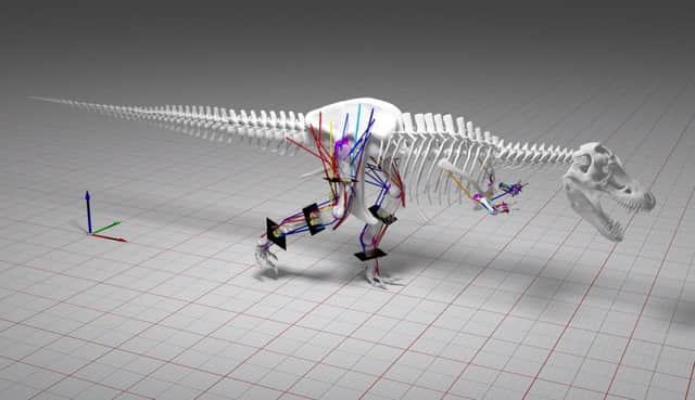The study looked extensively into the gait and biomechanics of T-Rex. Picture: University of Manchester/PA Wire
