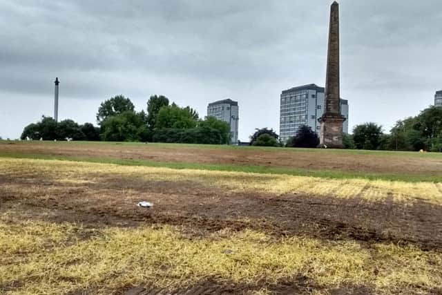 Damaged grass on the TRNSMT festival site. Picture: Mairi Carrey