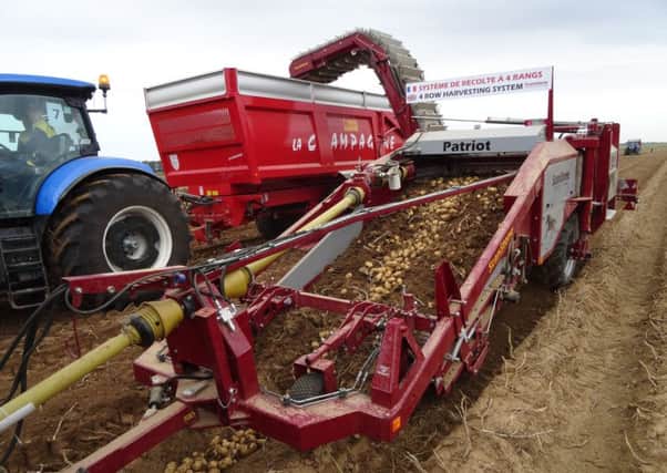 AHDB says potato yields could be increased by reducing nitrogen top dressings. Picture: Johnston Press
