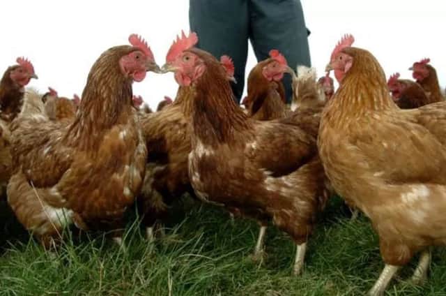 Chlorine-rinsed chicken from the US could be on sale in British supermarkets following a post-Brexit trade deal.