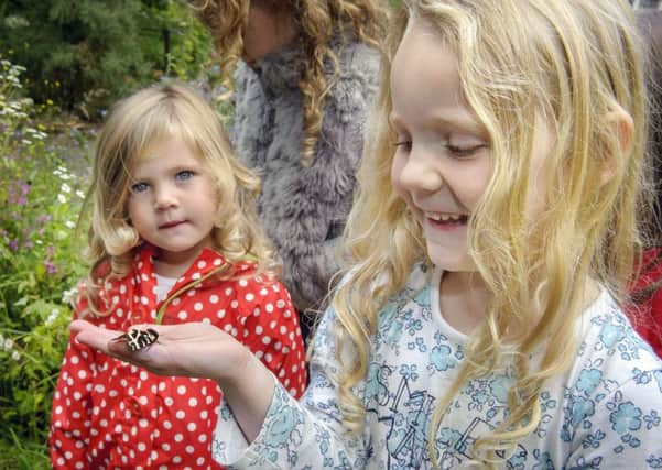 New research suggests we are losing touch with nature, with many parents feeling they don't know enough about wildlife to teach their children. Picture: Helen Pugh