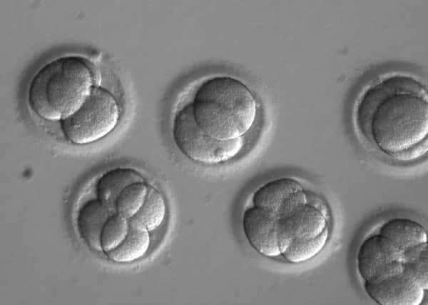 A landmark study has raised the prospect of Britain pioneering the use of human embryo gene editing to eradicate inherited diseases.  Picture: OHSU/PA Wire