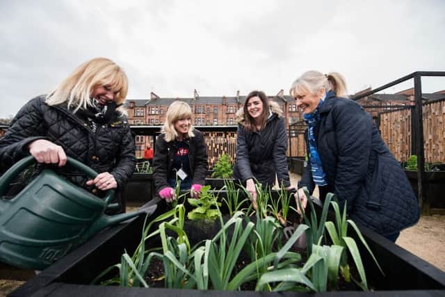 A team from Possil health centre in Glasgow tend to their allotment box. Picture: John Devlin/TSPL