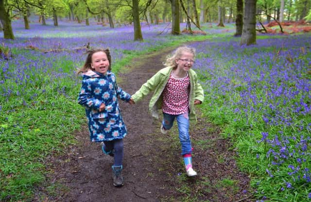 A bluebell wood said to have sheltered William Wallace and his army has been bought by Woodland Trust Scotland