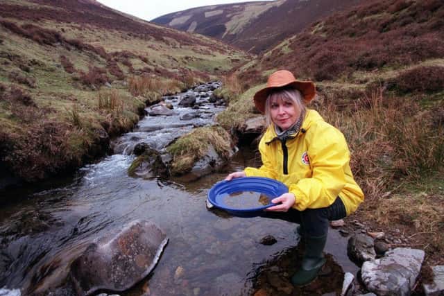 Gold panning continues today in the Lowther Hills. PIC: Allan Milligan/TSPL.