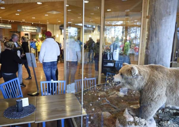 The entrance to Orsa Rovdjurspark, the animal park where a bear attacked and killed a teenage worker. Picture: Ulf Palm/TT via AP