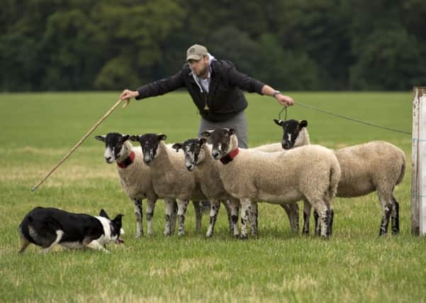 Summer activities can include sheepdog trials and local shows