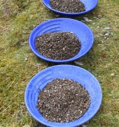 Thousands are to take part in gold panning in Moffat. Picture: SWNS