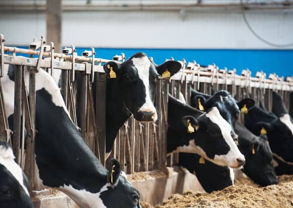 Many items on farms are not eligible for compensation. Picture: John Devlin