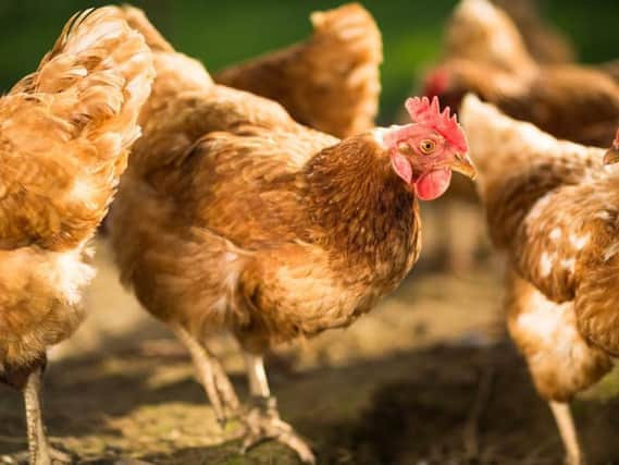 700,000 eggs contaminated with toxic chemical have been imported to the UK , FSS says.