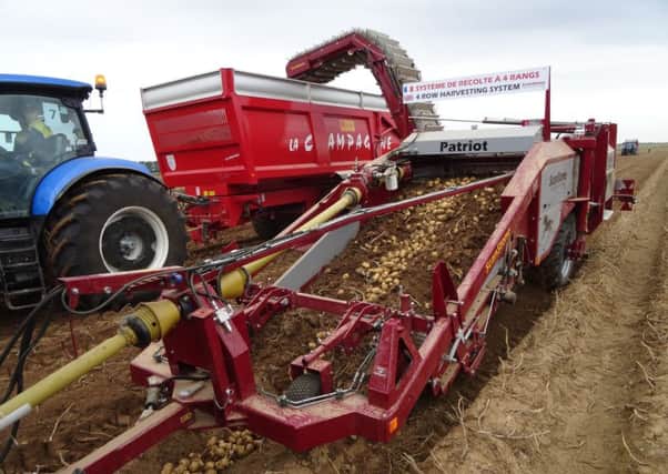 While Brexit could hamper trade, AHDB said Scottish potatoes could find new markets elsewhere. Picture: Contributed
