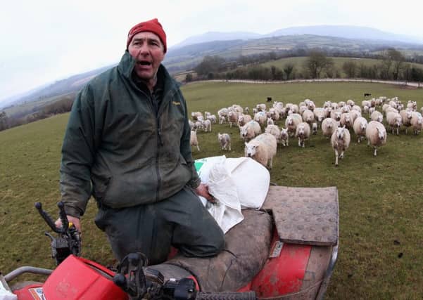 Criminals often target quad bikes and livestock. Picture: Chris Jackson/Getty Images
