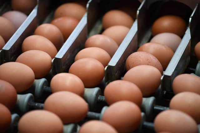 Eggs linked to contamination scare have been distributed to Scotland but there is no health risk. Picture: JOHN THYS/AFP/Getty Images