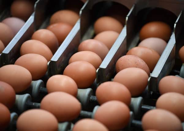 Eggs linked to contamination scare have been distributed to Scotland but there is no health risk. Picture: JOHN THYS/AFP/Getty Images