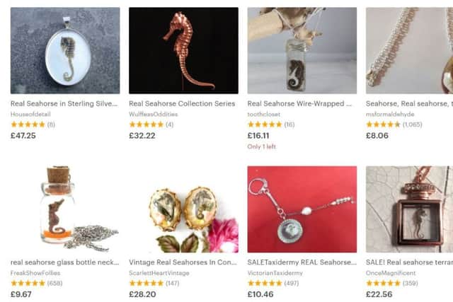 A screenshot showing rows of dead seahorses for sale on Etsy. Picture: Contributed