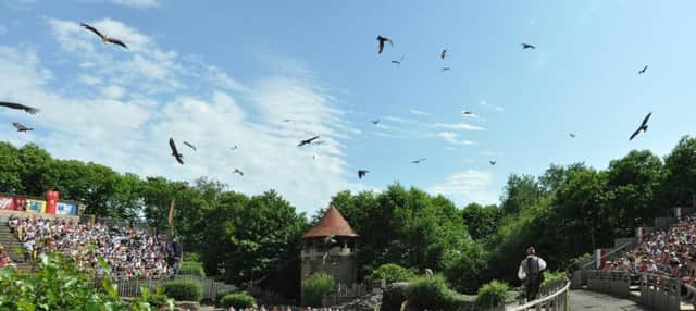 Le Bal des Oiseaux Fantomes, The Ghostbird Ball, at Puy do Fou