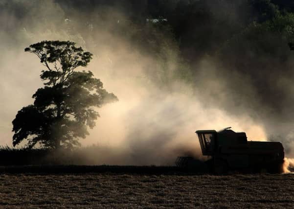 The biofuel row could improve the outlook for wheat growers in Scotland. Picture: Christopher Furlong/Getty Images