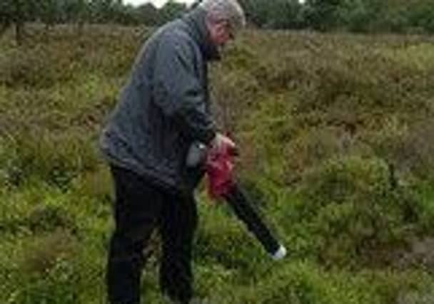MSP Angus Macdonald 'hoovering' for the Bog sun-jumper spider. Picture: Craig Macadam/Buglife