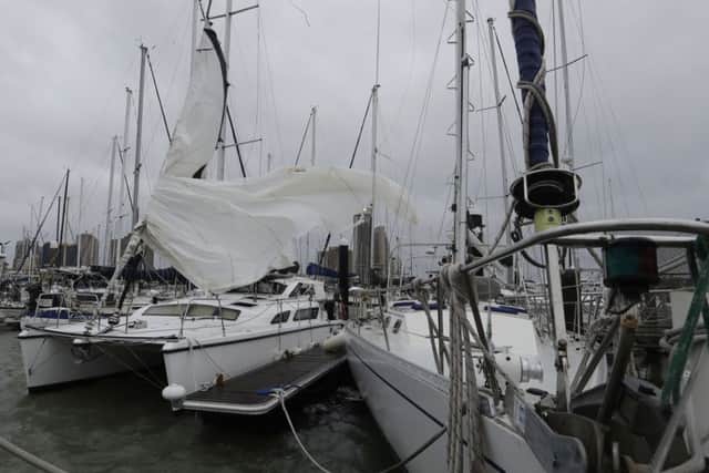 Ripped sails of boats whip in the wind, damaged by Hurricane Harvey..  (AP Photo/Eric Gay)
