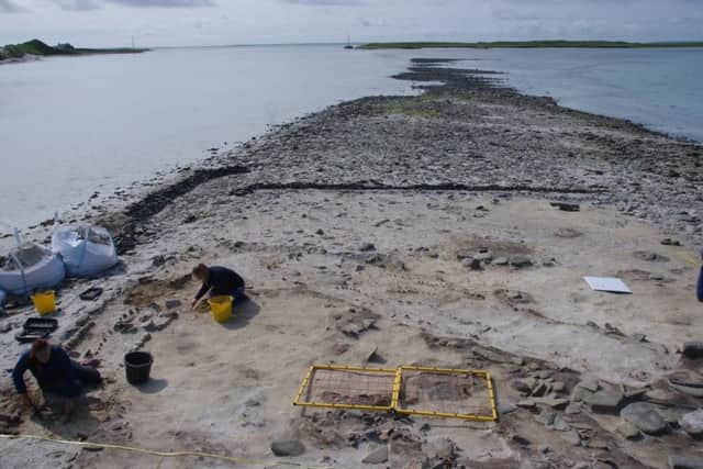 Overview of site showing archaeologists working on the whale trenches. Picture: Contributed
