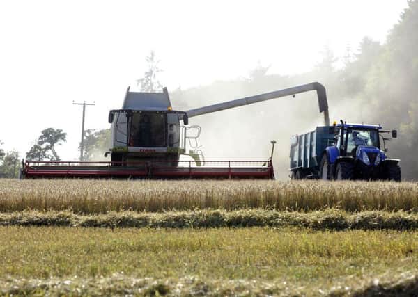 Could growing crops under cover improve yields? Picture: Michael Gillen