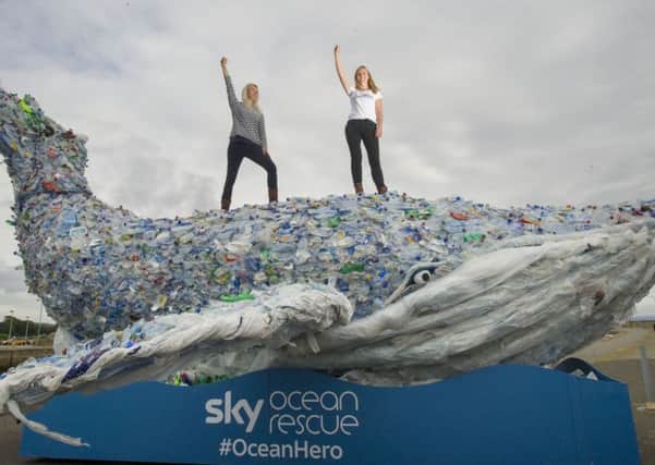 A giant whale made out of marine litter was created on Potobello beach recently to demonstrate the quantity of plastic pollution entering the world's oceans very second