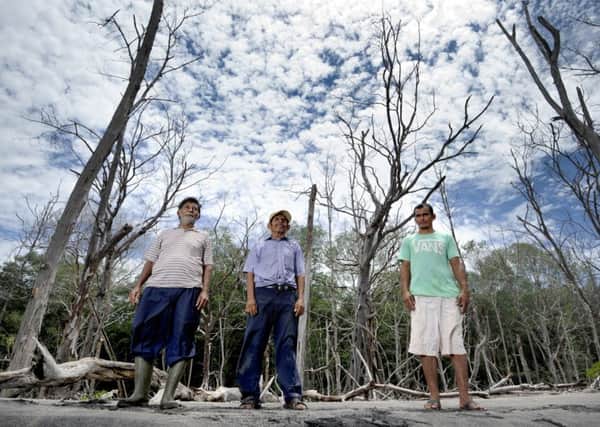 El Salvador - La Tirana Mangrove Swamp, 13/08/2017. From left are Pablo Ramirez, Pedro Rivero and Nuhem Diaz, pictured in the remains of the mangrove swamp, now devastated by the encroaching sand and rising sea level.