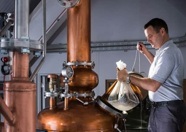 Isle of Harris Distillers aims to add to its 30-strong workforce. Picture: Contributed