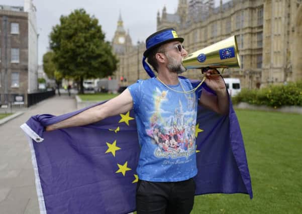 A pro-EU protester outside the Commons got his own point across as MPs debated the EU (Withdrawal) Bill. Picture: Getty
