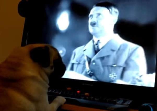A woman has accused a man of turning her dog into a Nazi. Picture: Youtube/ Screengrab
