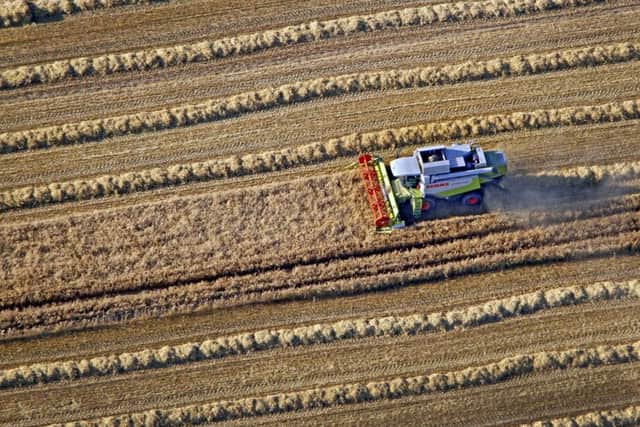 This year's harvest has been hit hard by the wet weather. Picture: Andreas Dunker/AFP/GettyImages