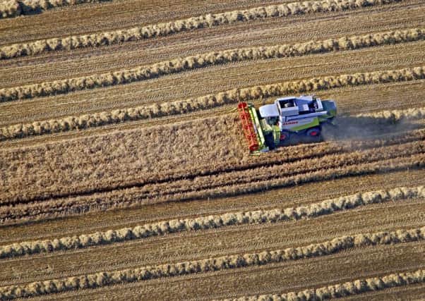 This year's harvest has been hit hard by the wet weather. Picture: Andreas Dunker/AFP/GettyImages