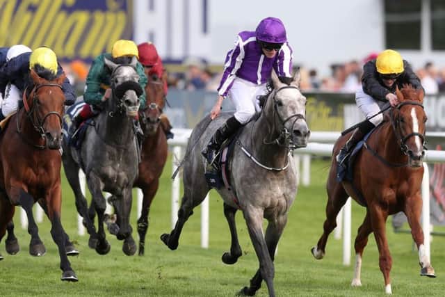 Capri, right, strikes for home in the St Leger. Photograph: Martin Rickett/PA Wire