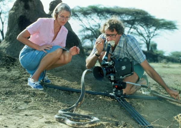 Alan and Joan Root filming Survival (Picture: ITV/Rex/Shutterstock)