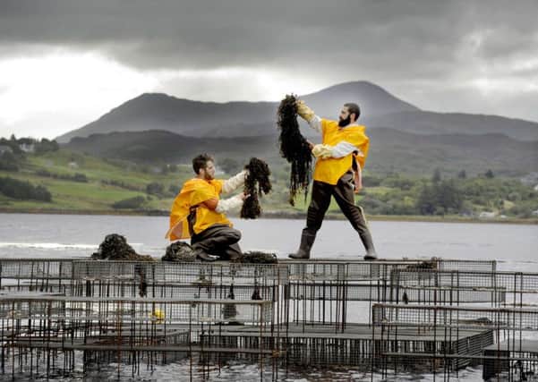 The art installation Climavore: On Tidal Zones is being staged on the Isle of Skye during Climate Week to promote the consumption of seaweeds and shellfish