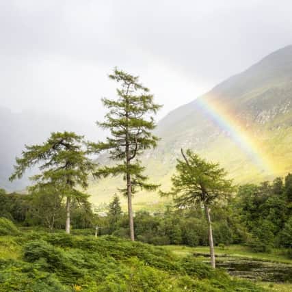 Scottish highlands with rainbow and pine trees