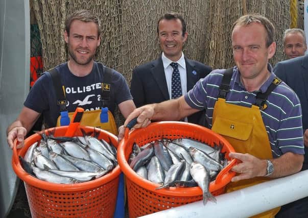 Much of Scotlands mackerel and herring catches are destined for export markets vital to the countrys economy