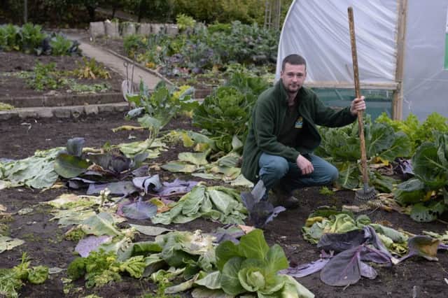 FILE PICTURE - Pollok Park gardener Paul Hilton inspects the damage at the vegetable allotment after a raid which saw thousands of vegetables stolen. September 19, 2017. See Centre Press story CPVEG; A suspected raid at a garden plot where thousands of vegetables were stolen could have been a confusion which saw members of the public help themselves. Gardening staff were shocked when they discovered that their winter harvest, including carrots, leeks, turnips, and onions, had disappeared. It is thought that almost half a tonne of vegetables were taken over the weekend. Staff believe the raid at Glasgow's Pollok Park must have been premeditated due to the huge number of crops that were stolen. But a member of the public has told how they were visiting Pollok House on Sunday for Doors Open Day when they saw "between 15 and 20 people" in the plot.